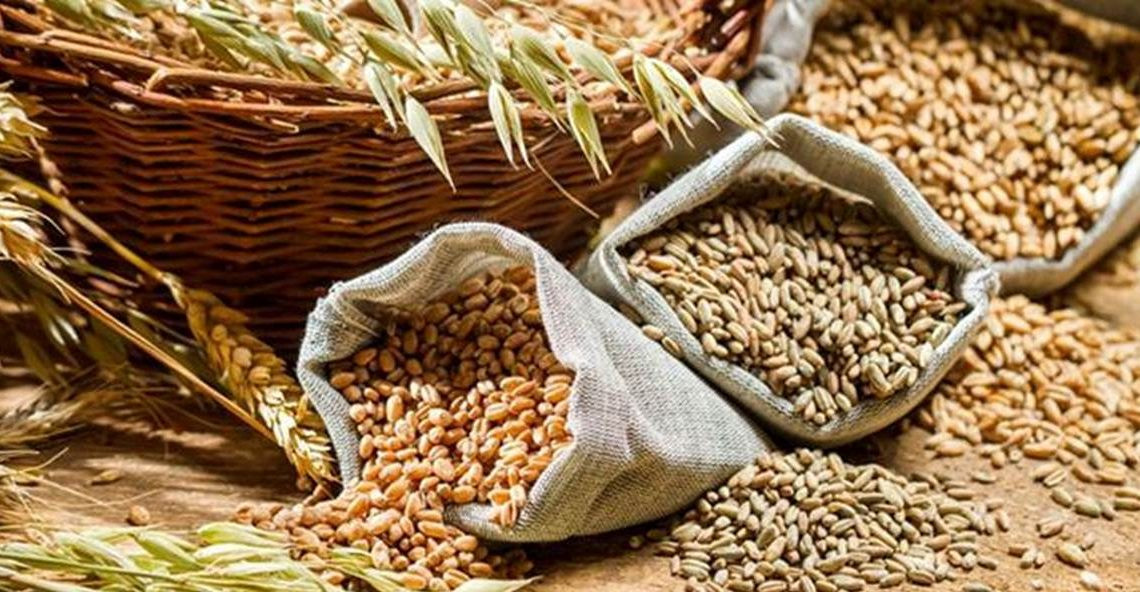 किसानलाई अनुदानमा बीउ