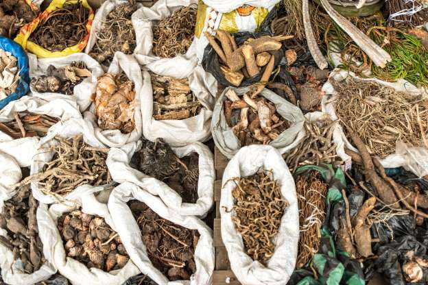 ४० क्विन्टल जडीबुटीसहित दुई जना पक्राउ