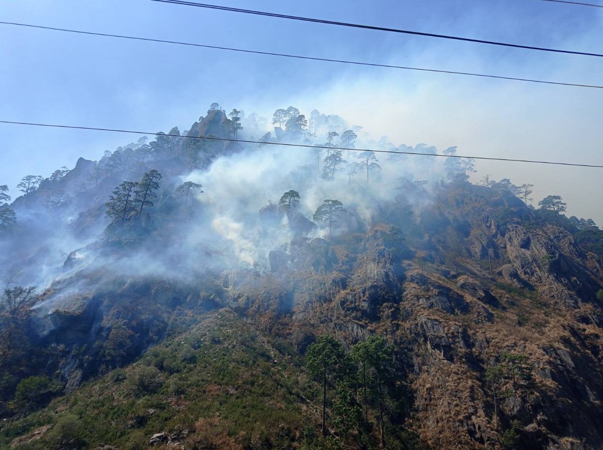 डढेलोले उदयपुरमा तीन सय हेक्टर वनमा क्षति