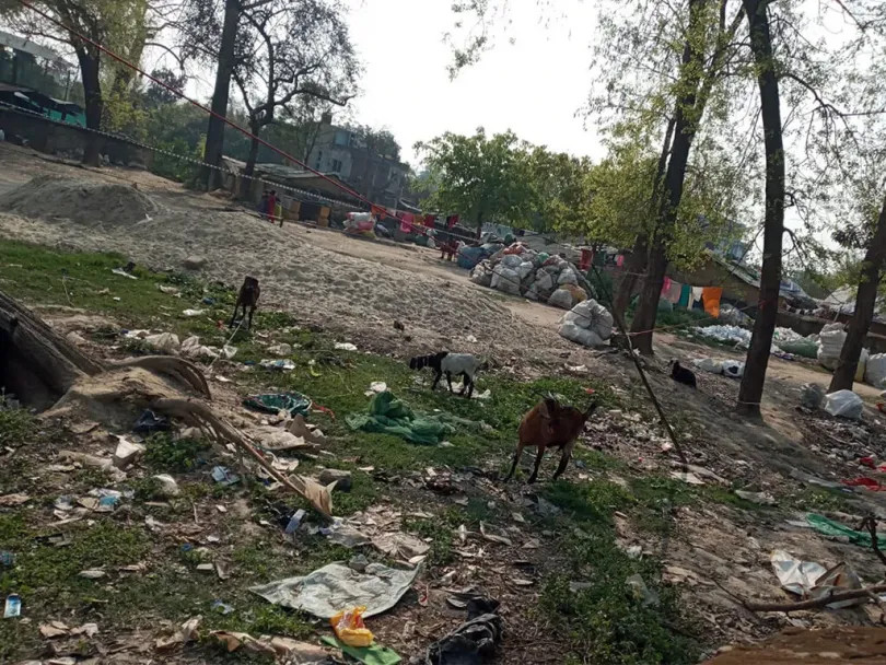 नेपाल वायुसेवा निगमको जग्गा कवाडी राख्ने र शौच गर्ने थलो बन्दै 