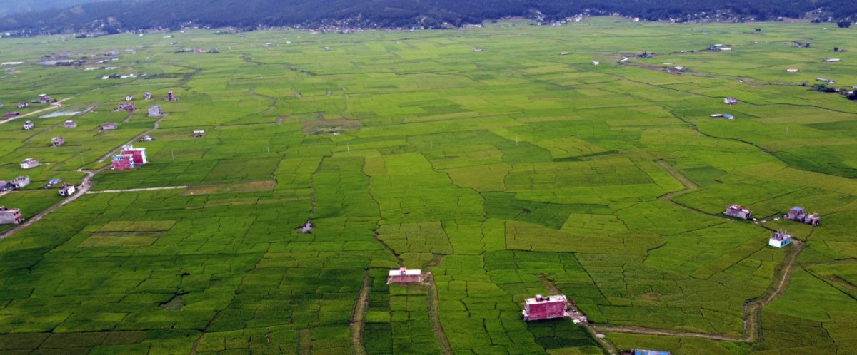 तराईका खेतीयोग्य जमिन मासिँदै 