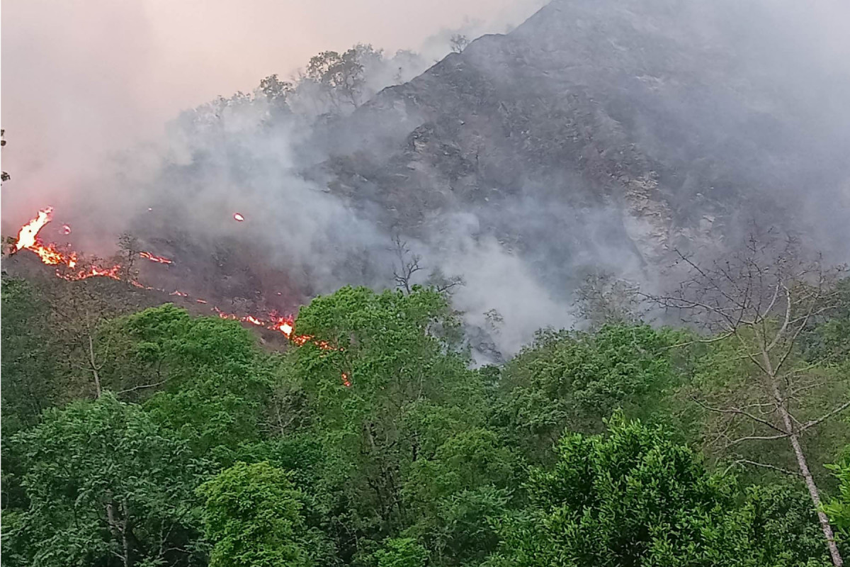 जापानमा ५० वर्षयताकै भीषण डढेलो, वर्षा र हिमपातले राहत दिने आशा