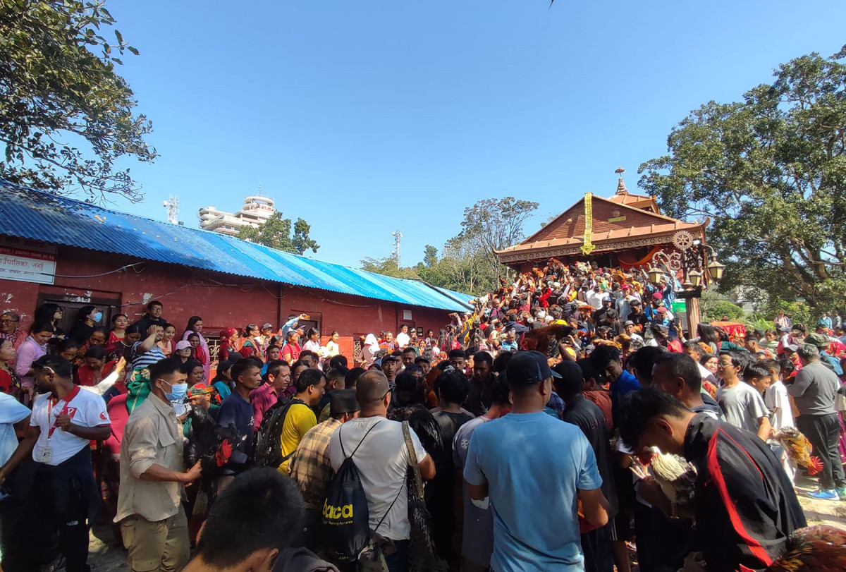 बन्दीपुरमा मनाइयो  खड्गजात्रा